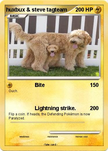 Pokemon huxbux & steve tagteam