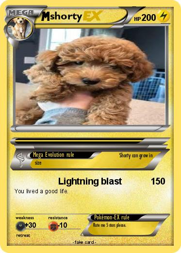 Pokemon shorty