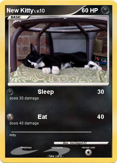 Pokemon New Kitty
