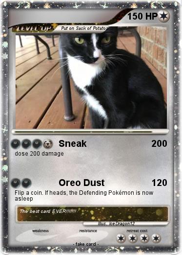 Pokemon 