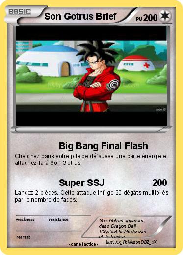 Pokemon Son Gotrus Brief