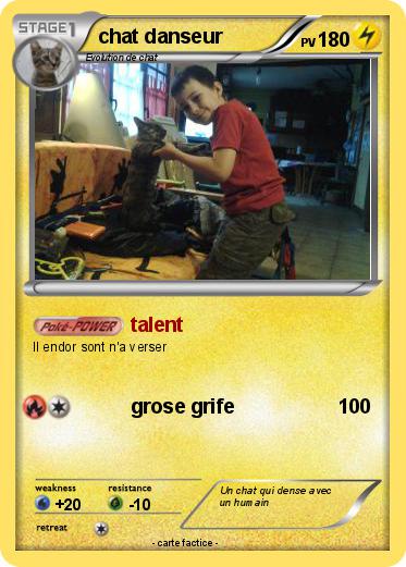 Pokemon chat danseur
