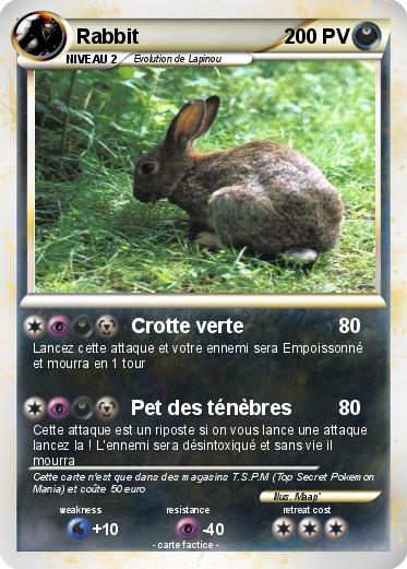 Pokemon Rabbit
