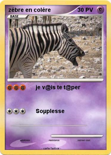 Pokemon zébre en colère