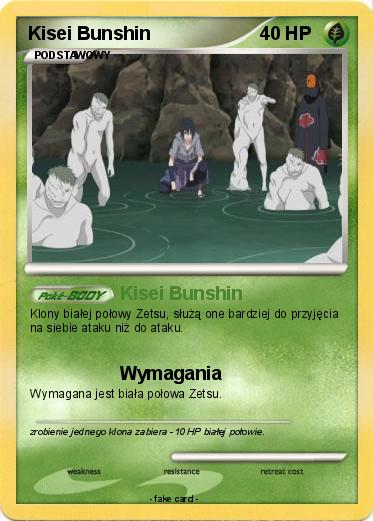 Pokemon Kisei Bunshin