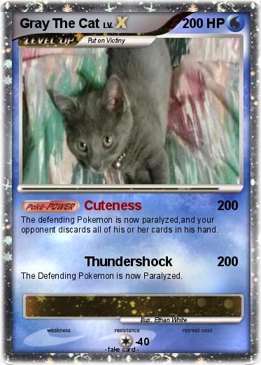 Pokemon Gray The Cat