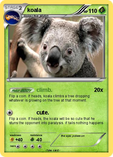 Pokemon koala