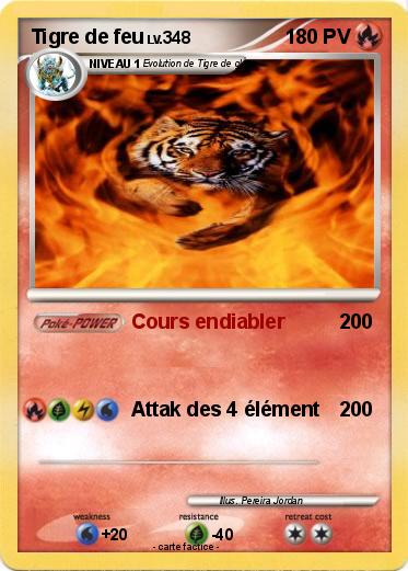 Pokemon Tigre de feu