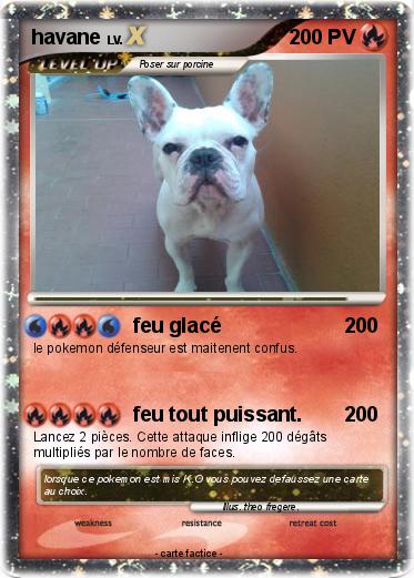 Pokemon havane