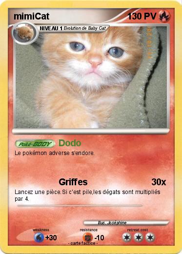 Pokemon mimiCat