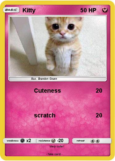 Pokemon Kitty