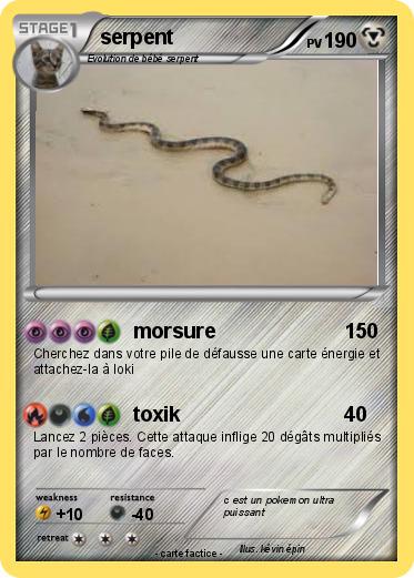 Pokemon serpent