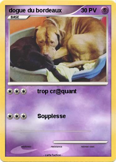 Pokemon dogue du bordeaux