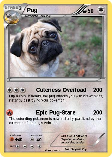 Pokemon Pug
