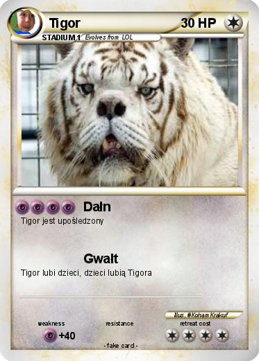 Pokemon Tigor