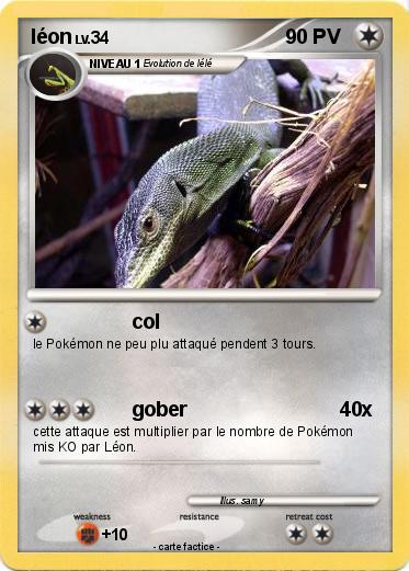 Pokemon léon