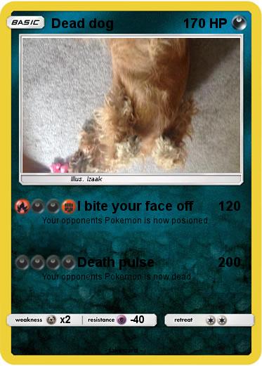 Pokemon Dead dog