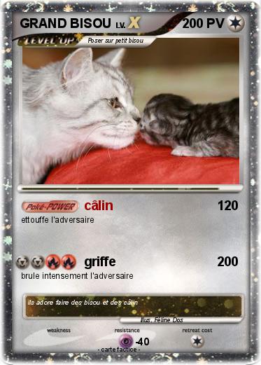 Pokemon GRAND BISOU
