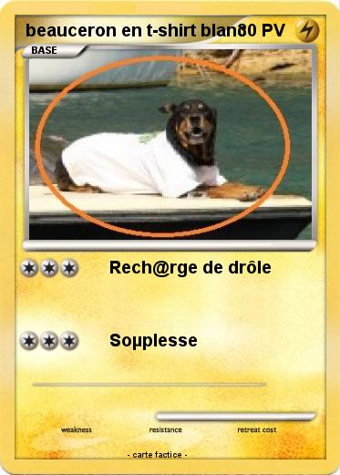 Pokemon beauceron en t-shirt blanc