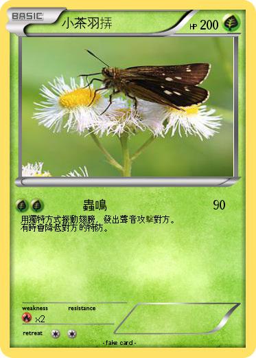 Pokemon 小茶羽挵