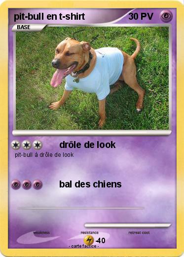 Pokemon pit-bull en t-shirt