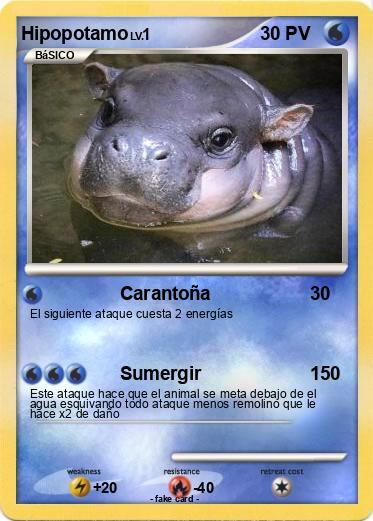 Pokemon Hipopotamo