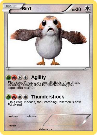 Pokemon Bird