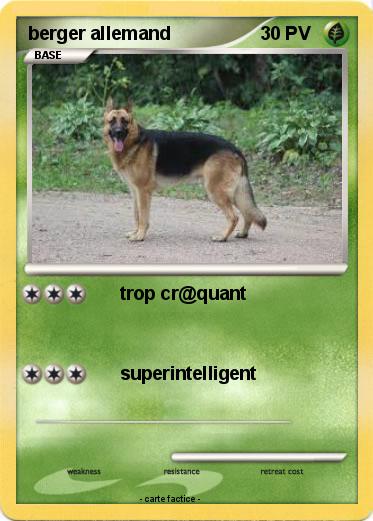Pokemon berger allemand