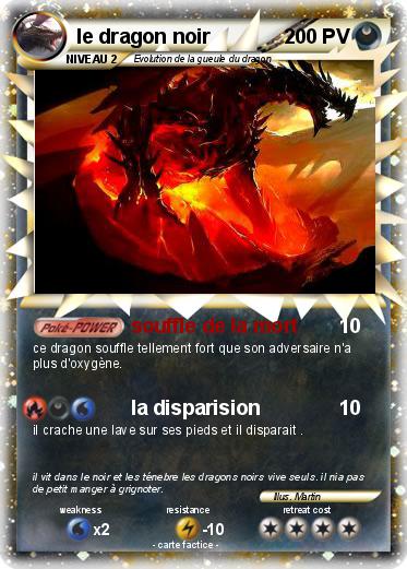 Pokemon le dragon noir
