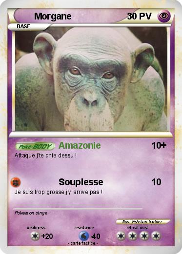 Pokemon Morgane