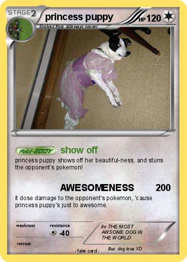 Pokemon princess puppy