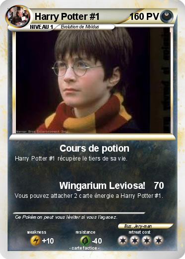 Pokemon Harry Potter #1