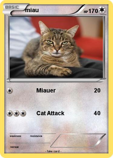 Pokemon miau