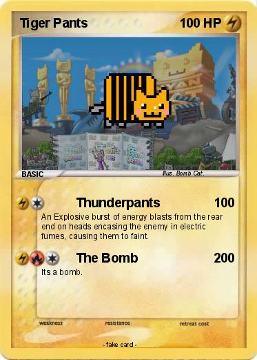 Pokemon Tiger Pants