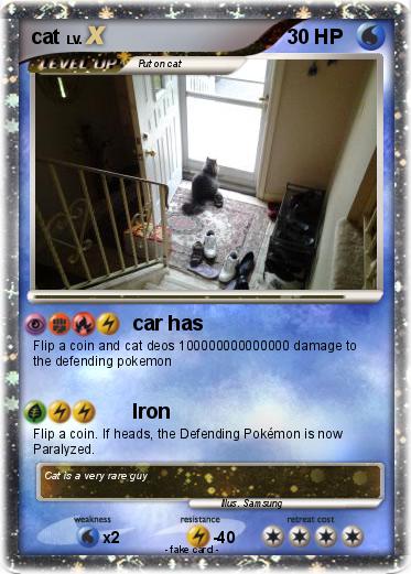 Pokemon cat