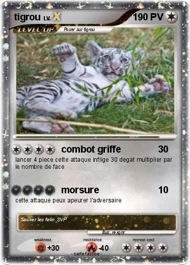 Pokemon tigrou