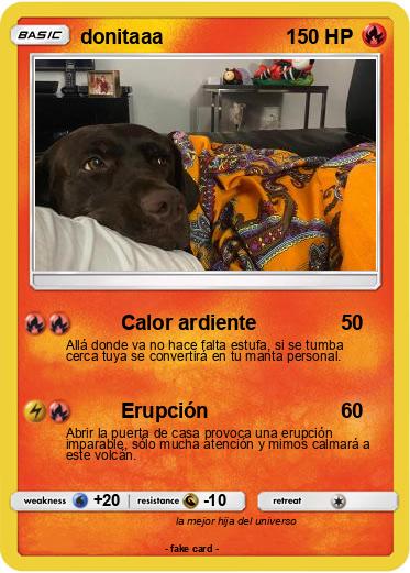 Pokemon donitaaa