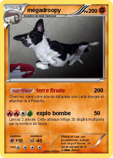 Pokemon mégadroopy