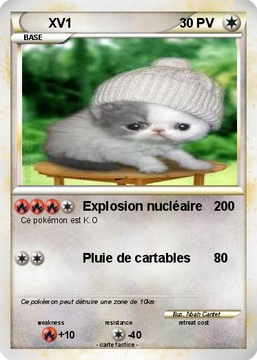Pokemon XV1