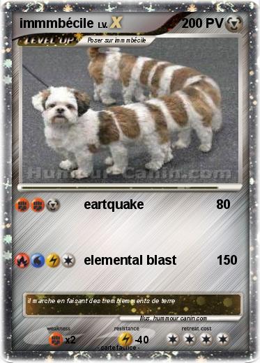 Pokemon immmbécile