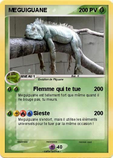 Pokemon MEGUIGUANE