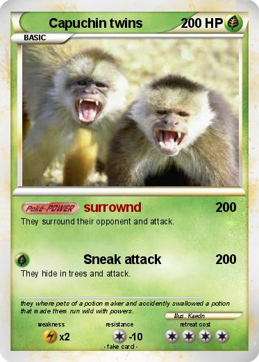Pokemon Capuchin twins
