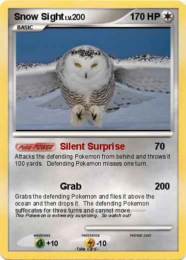 Pokemon Snow Sight