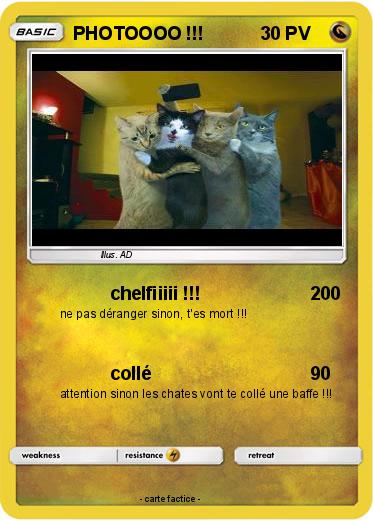 Pokemon PHOTOOOO !!!