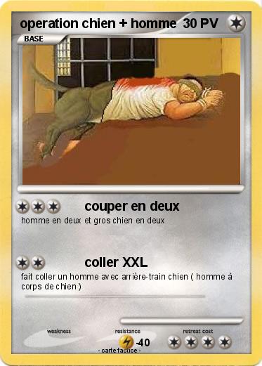 Pokemon operation chien + homme