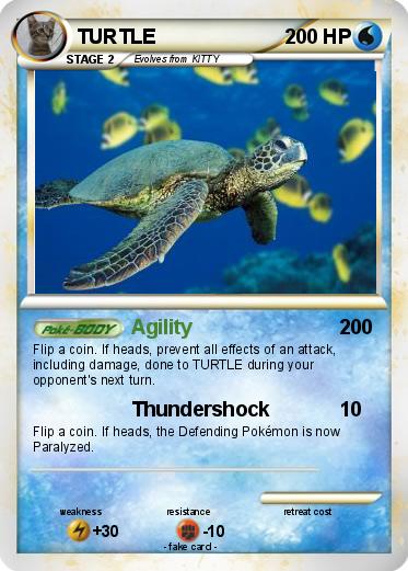 Pokemon TURTLE