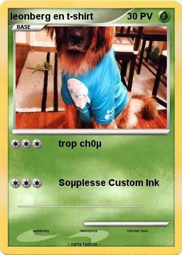 Pokemon leonberg en t-shirt
