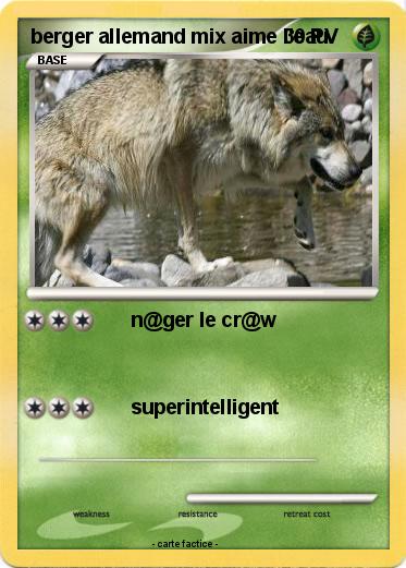 Pokemon berger allemand mix aime l'eau