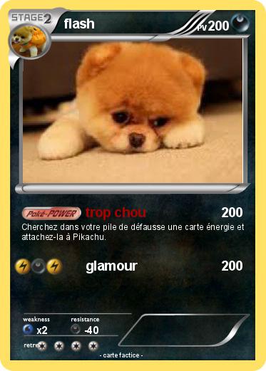 Pokemon flash