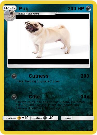 Pokemon Pug